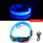 LED Dog Collar