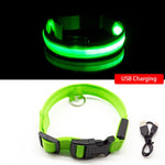 LED Dog Collar