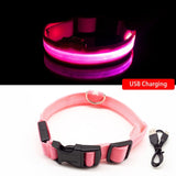 LED Dog Collar