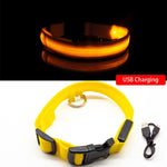 LED Dog Collar