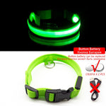 LED Dog Collar