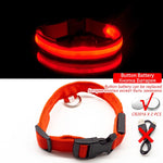 LED Dog Collar