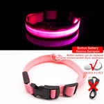 LED Dog Collar