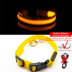 LED Dog Collar